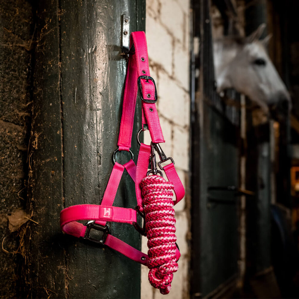 HORSEWARE Newmarket® Καπίστρι + Οδηγός