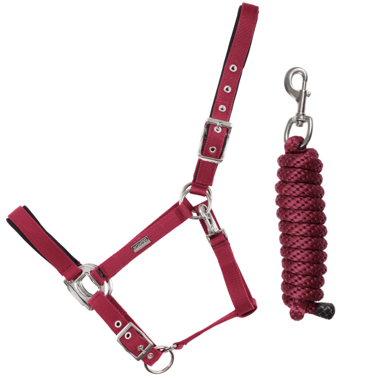 MOMPSO SIGNATURE Soft Καπίστρι + Οδηγός 2m