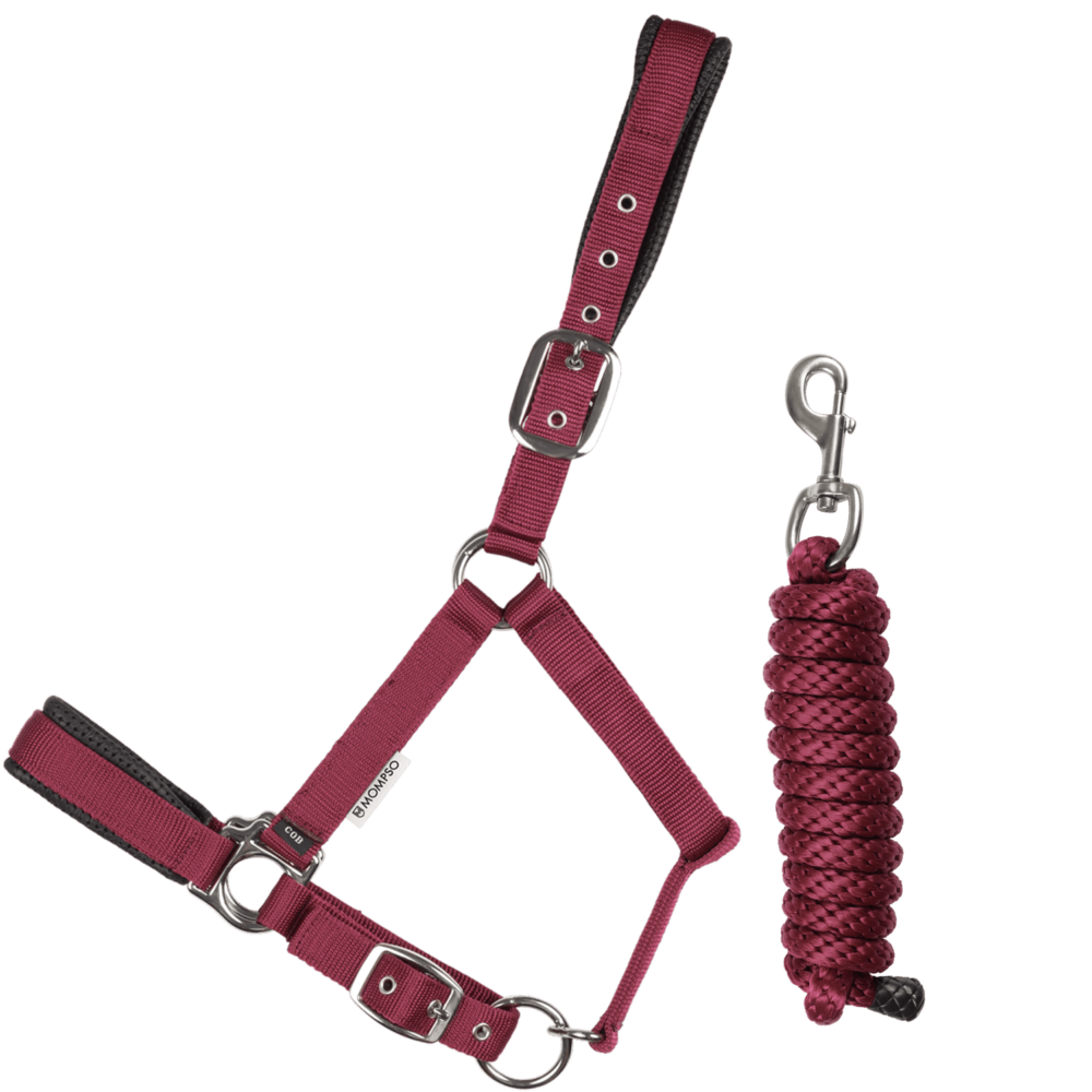 MOMPSO SPORT Vinyl Καπίστρι + Οδηγός 2m