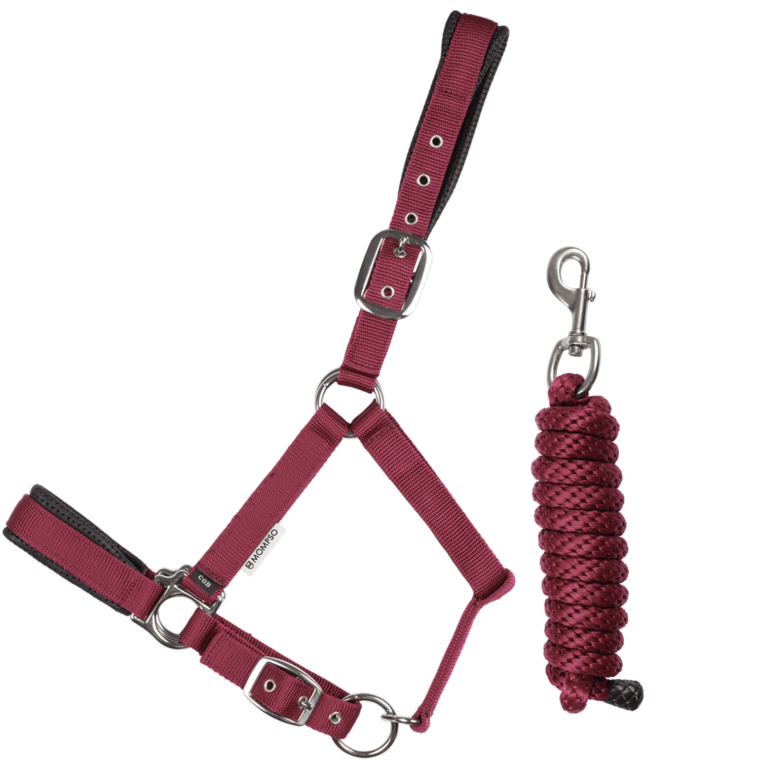 MOMPSO SPORT Vinyl Καπίστρι + Οδηγός 2m