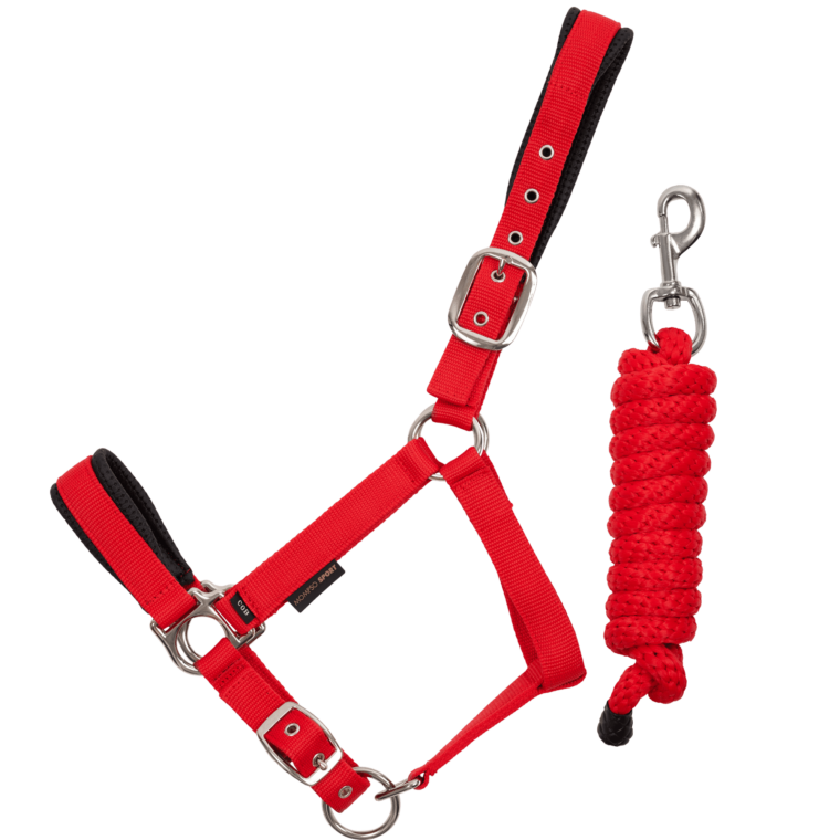 MOMPSO SPORT Vinyl Καπίστρι + Οδηγός 2m