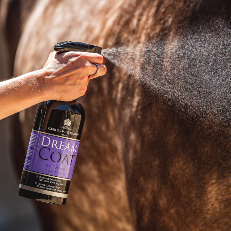 CDM DREAMCOAT® Spray Φινιρίσματος & Λάμψης