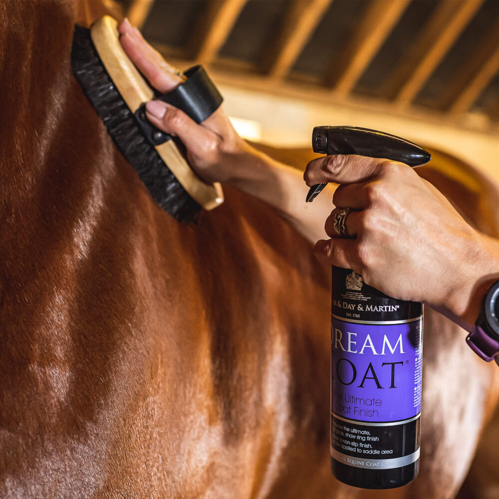 CDM DREAMCOAT® Spray Φινιρίσματος & Λάμψης