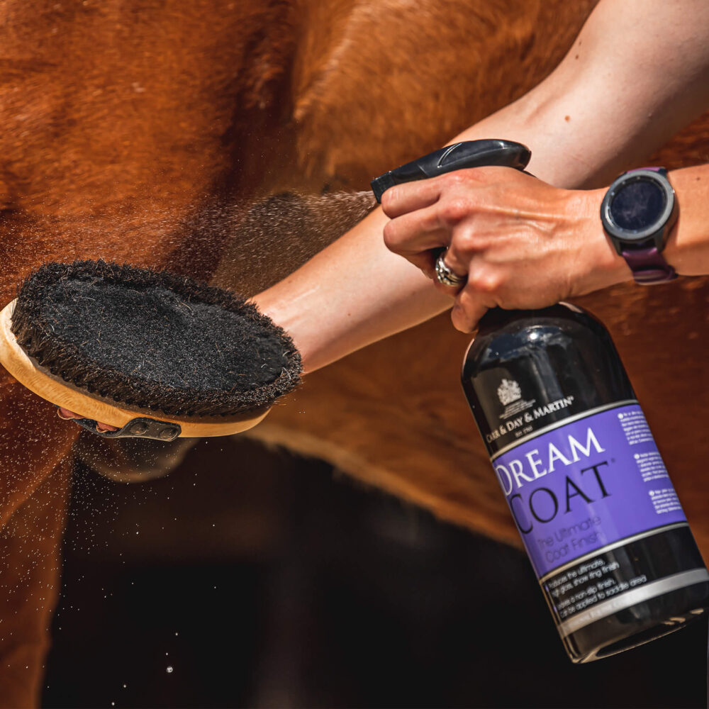 CDM DREAMCOAT® Spray Φινιρίσματος & Λάμψης