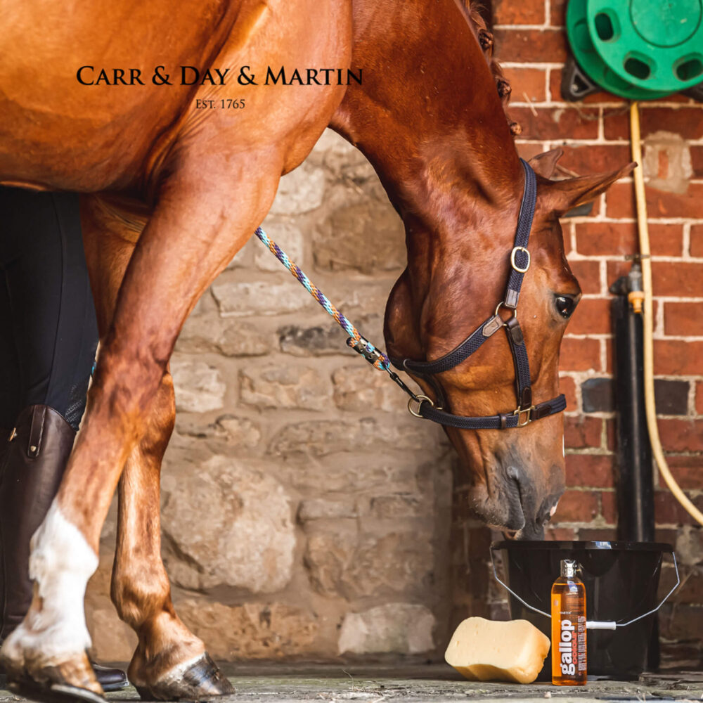 CDM GALLOP® Chestnut Σαμπουάν Ενίσχυσης Χρώματος 500ml