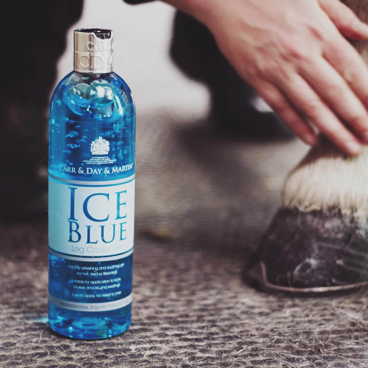CDM ICEBLUE® Ψυκτικό Gel Mυών & Tενόντων 500ml CDM ICEBLUE® Ψυκτικό Gel Mυών & Tενόντων 500ml