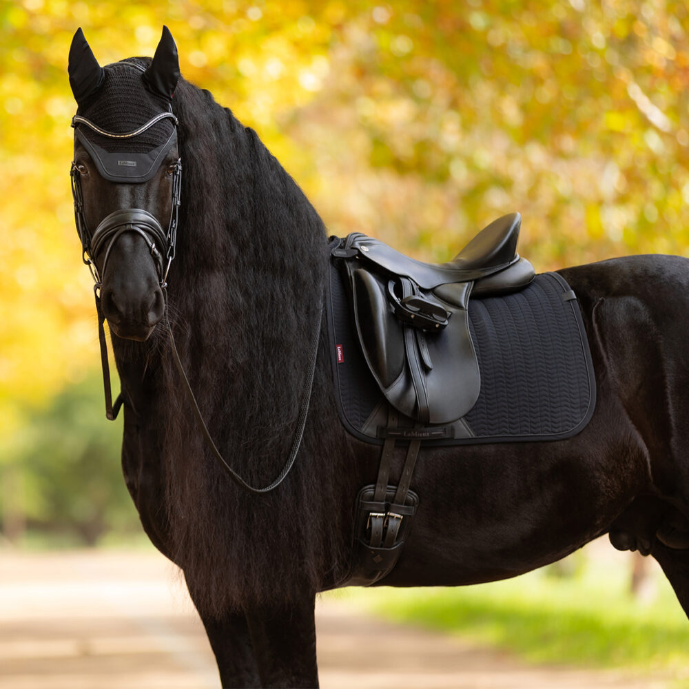 LEMIEUX Essence Dressage Square Υπόσαγμα