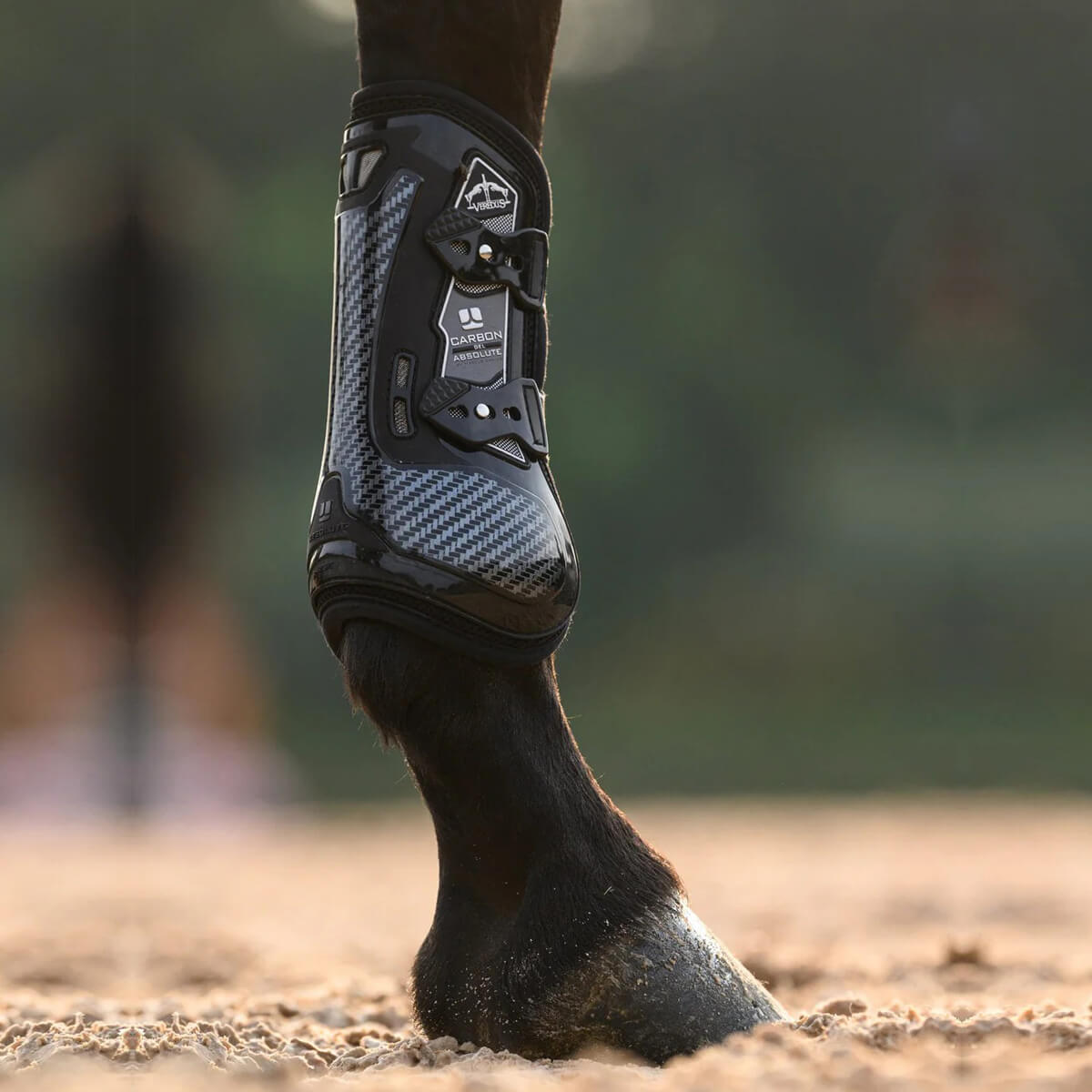 VEREDUS Carbon Gel Absolute Tendon Boots VEREDUS Carbon Gel Absolute Tendon Boots