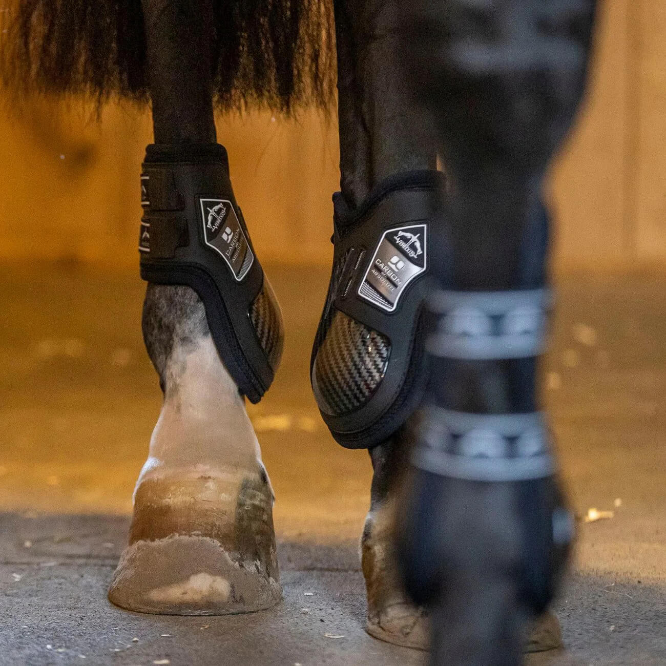 VEREDUS Carbon Gel Absolute Fetlock Boots VEREDUS Carbon Gel Absolute Fetlock Boots
